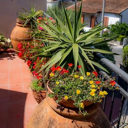 Un'oasi Di Pace * Casciana Terme
