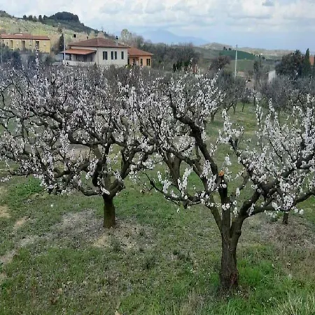 Apartman Un'oasi Di Pace